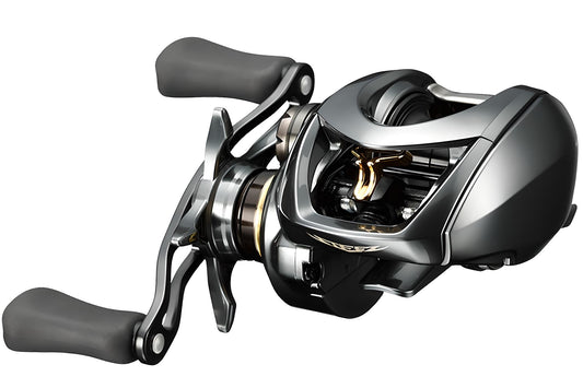 DAIWA 2019 STEEZ CT SV TW 700H (Right Handle)