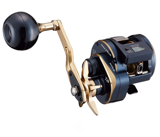 DAIWA 2021 SALTIGA IC 300 (Right)
