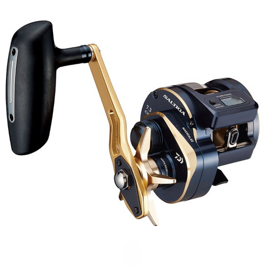 Pre-Order DAIWA 2021 SALTIGA IC 300H-SJ (Right)